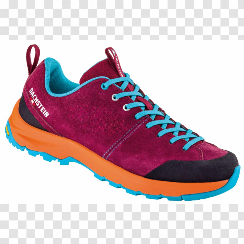 Hoher Dachstein Hiking Boot Shoe Sneakers - Sportswear - Trekking Transparent PNG