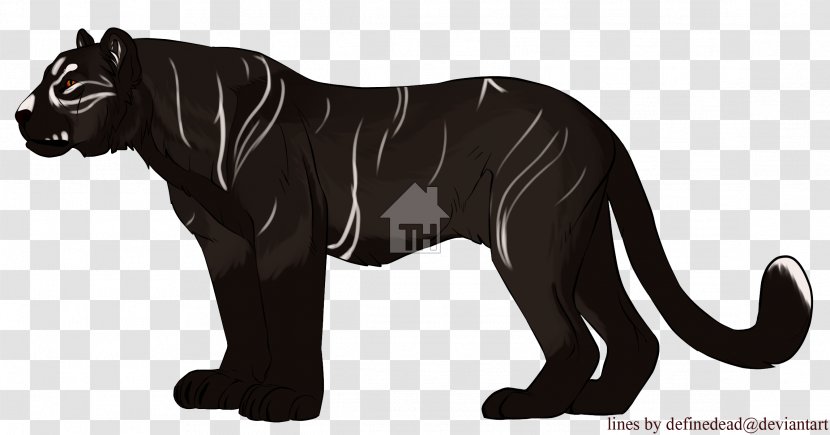 Tiger Lion Black Panther Line Art Cat Transparent PNG