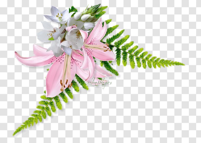 Cut Flowers Web Browser Petal - Pink - Flower Transparent PNG