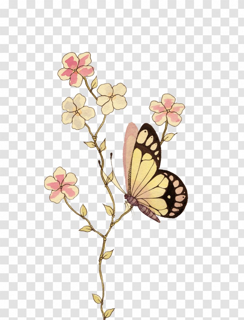 Watercolor Painting Drawing Stencil Illustration - Cut Flowers - Butterfly Transparent PNG