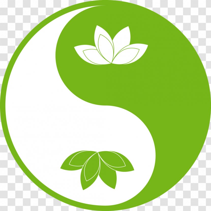 Lotus - Illustrator - Tree Transparent PNG