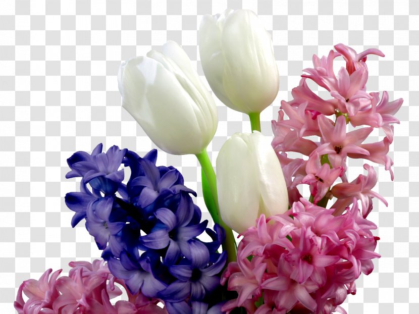 Flower Bouquet Tulip Wallpaper - Lilac Transparent PNG