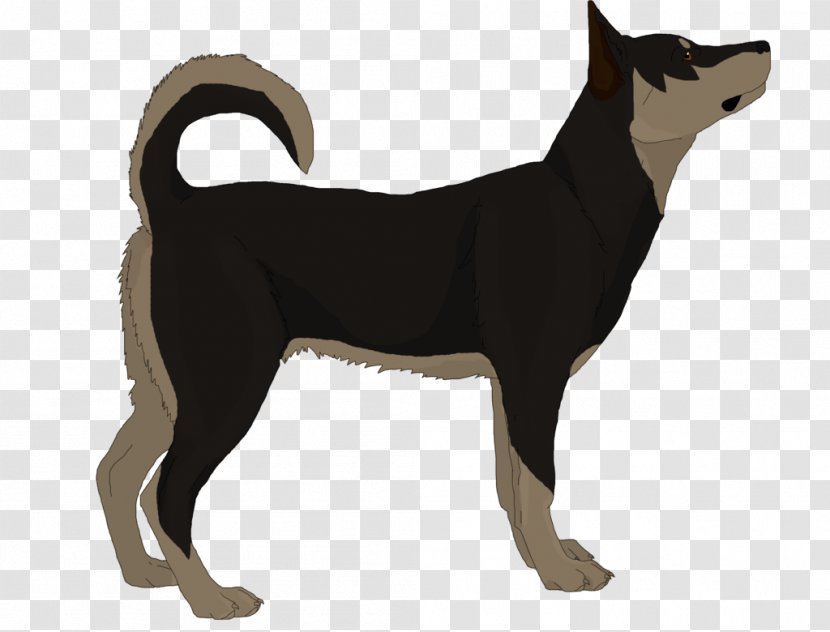 Karelian Bear Dog Canaan Ancient Breeds Pinscher Transparent PNG