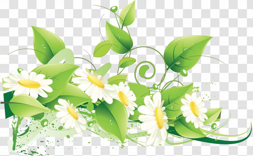 Flower Green Clip Art - Flora - Camomile Transparent PNG