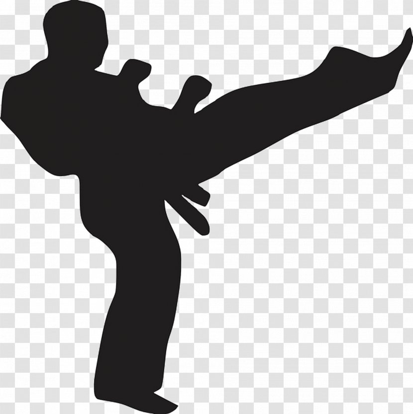Chinese Martial Arts Karate Kick Sport - Hand - Bullying Transparent PNG