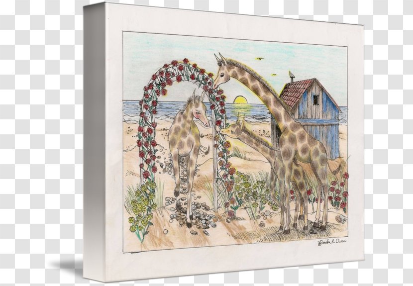 Giraffe Fine Art Painting Drawing - Watercolor Transparent PNG