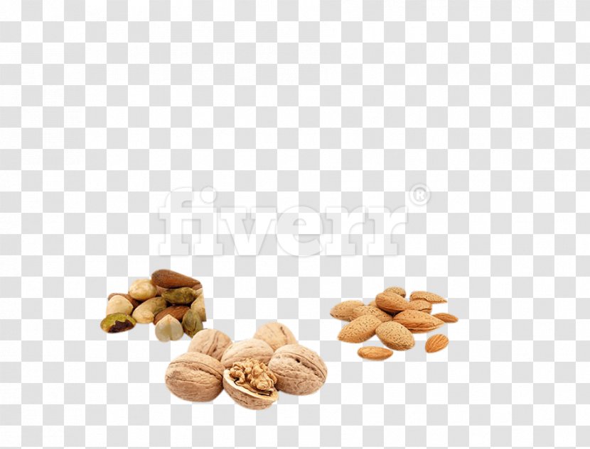 Family Tree Background - Commodity - Cashew Cuisine Transparent PNG