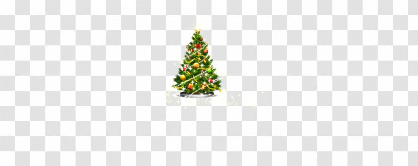 Christmas Tree Fir Spruce Pine Ornament - Vector Transparent PNG