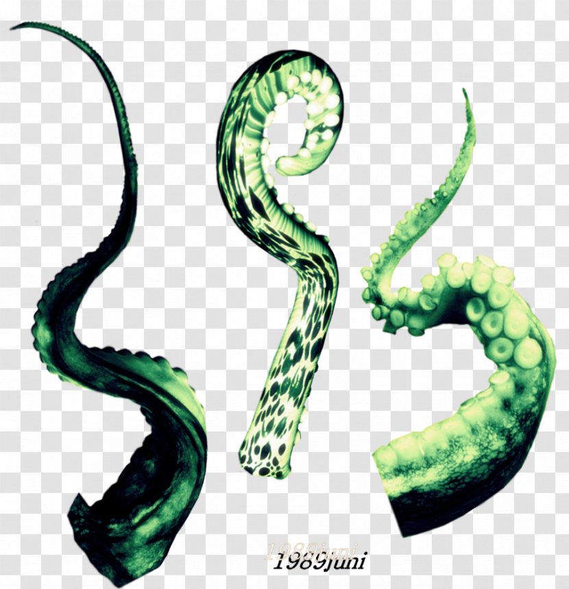 Tentacle Art Invertebrate - Silhouette - Tenticles Transparent PNG