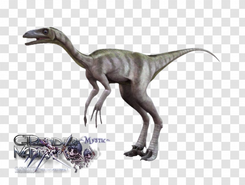 Velociraptor Troodon Tyrannosaurus Dinosaur .de - Skull Transparent PNG