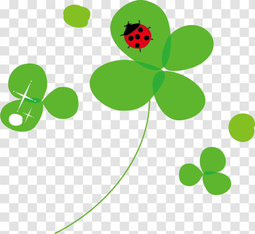 Plant Stem Ladybird Beetle Line Plants Biology Transparent PNG