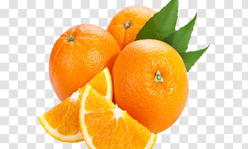 Juice Orange Drink Peel Bitter - Tangerine - Flag Of Shiva Load Transparent PNG