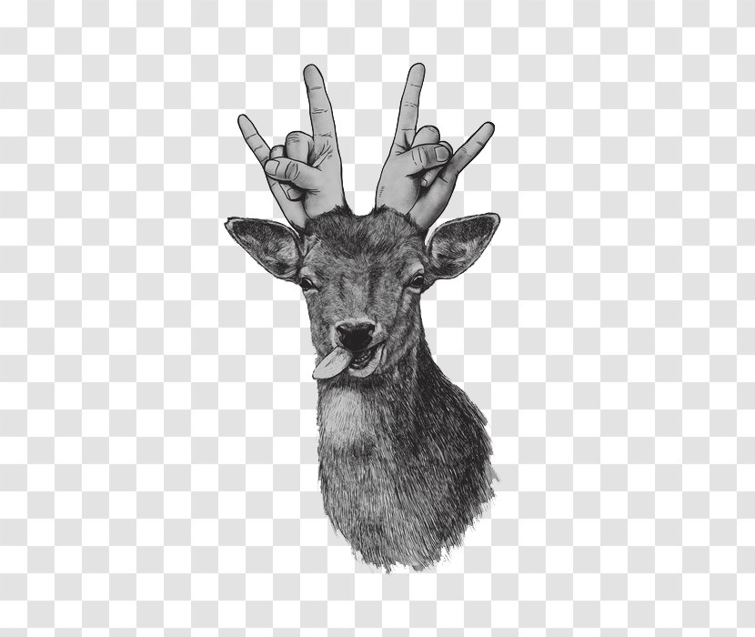 Deer Drawing Watercolor Painting Art - Whitetailed Transparent PNG