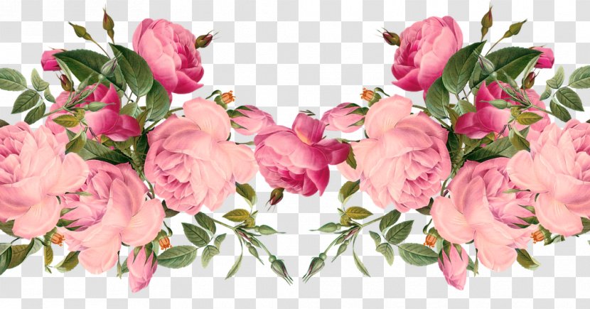 Rose Flower Free Pink Clip Art - Family - George Ii Of Greece Transparent PNG