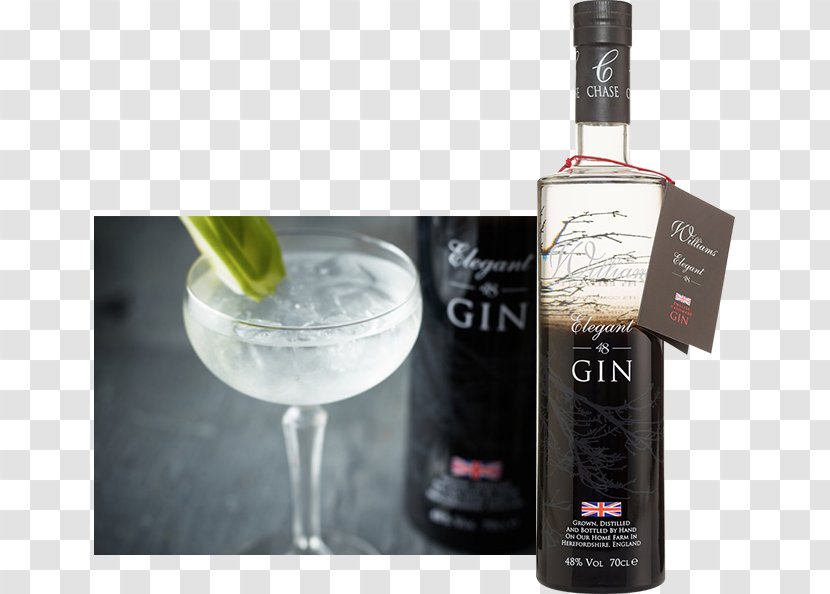 Distilled Beverage Gin Wine Martini Al Hamra Cellar - Vodka Transparent PNG