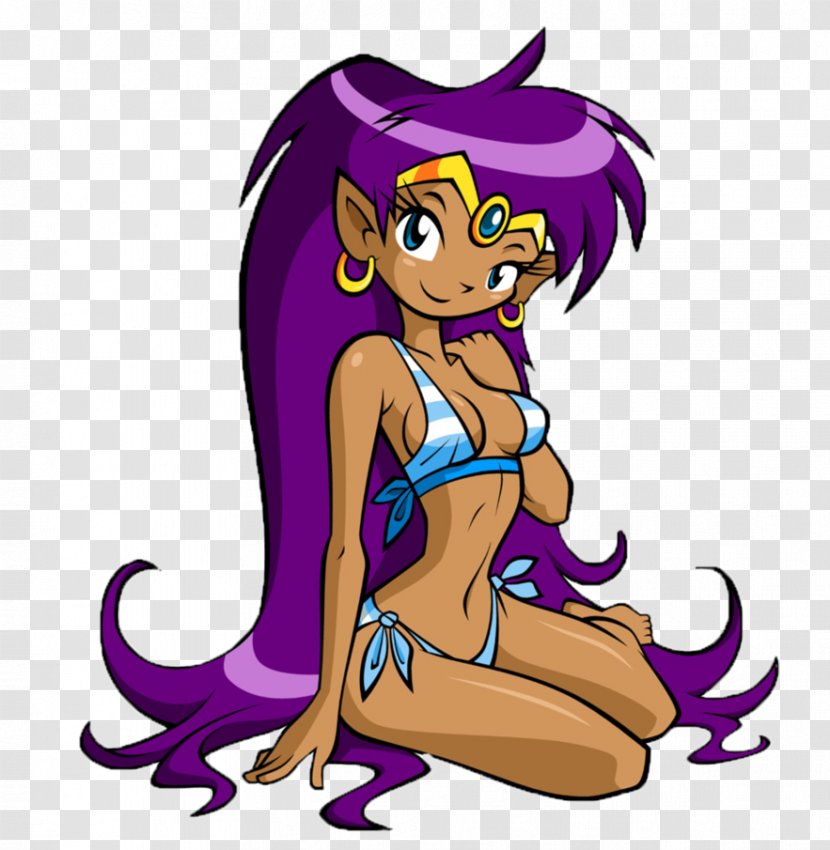 Shantae: Risky's Revenge Shantae And The Pirate's Curse Half-Genie Hero Swimsuit Video Game - Heart - Flower Transparent PNG