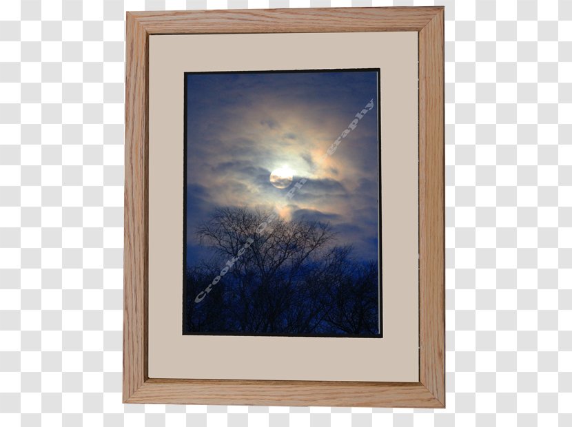 Picture Frames Window Mat Photography - Waterfowl - Natural Frame Transparent PNG