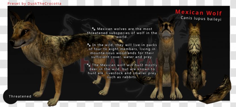 Dog DeviantArt Artist Skin - Frame - Mexican Gray Wolf Drawings Transparent PNG