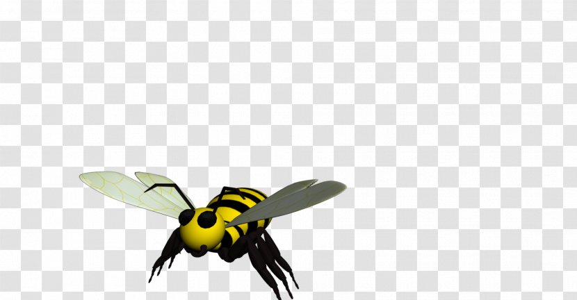 Honey Bee Life Cycle Hornet Bumblebee Transparent PNG