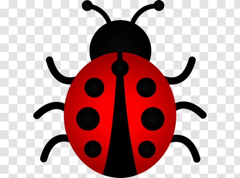 Ladybird Beetle The Ladybug Clip Art - Membrane Winged Insect Transparent PNG