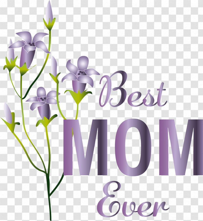 Floral Design Transparent PNG