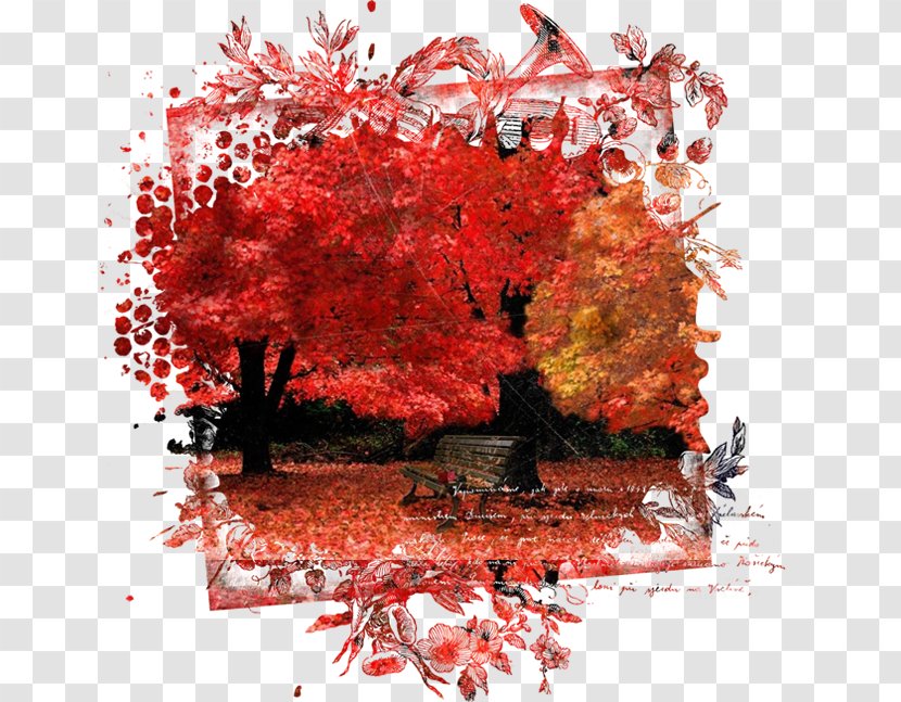 Autumn Clip Art - Photography Transparent PNG