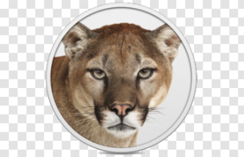 MacBook Pro OS X Mountain Lion Mac MacOS - Computer Software - Meng Da Transparent PNG