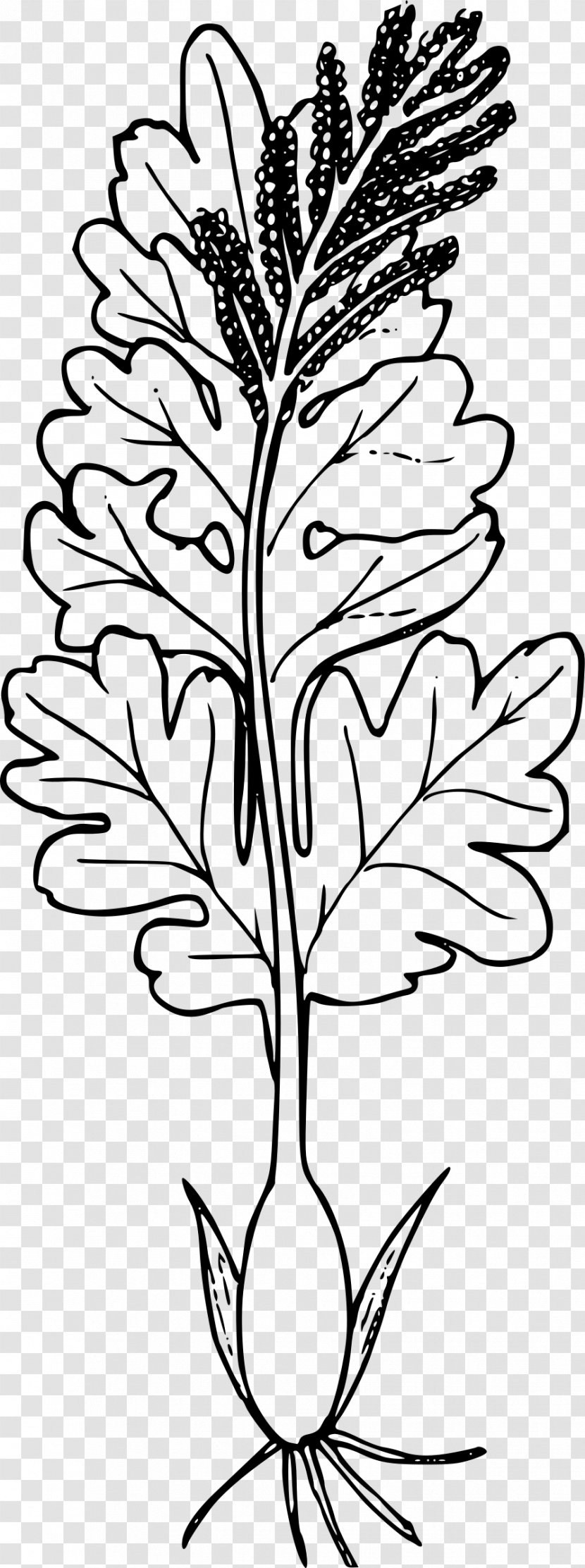 Twig Plant Clip Art - Tree Transparent PNG