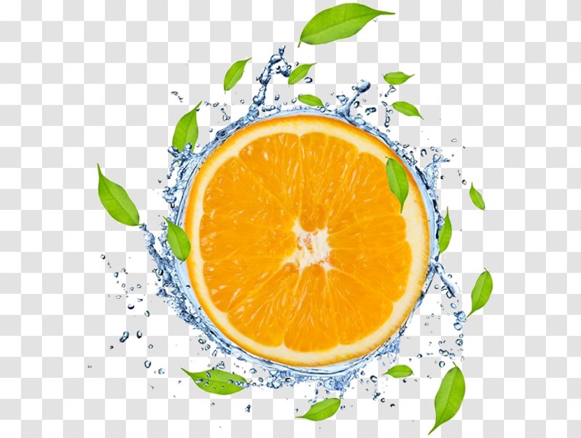 Orange Juice Lime Fruit Transparent PNG