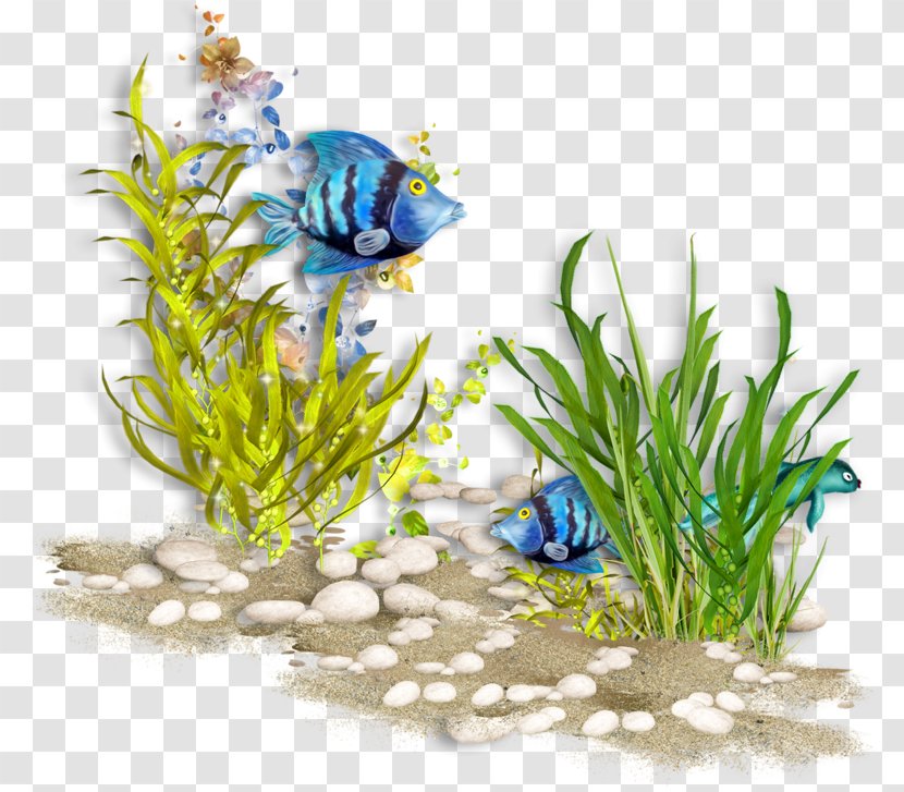 Sea Image Underwater Psd - Plant - Aquriam Transparent PNG