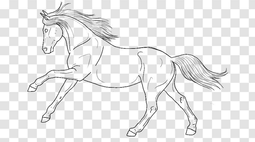 Line Art Arabian Horse Pony Mustang Foal - Animal Figure Transparent PNG