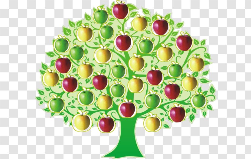 Tree Apple Spruce Clip Art - Dwarfing - Creative Hand-painted Cartoon Transparent PNG