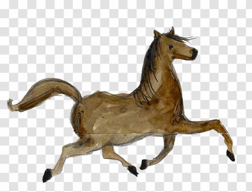 Mustang Frankfurt Book Fair Foal Stallion Pony - Horse - My Lady Transparent PNG