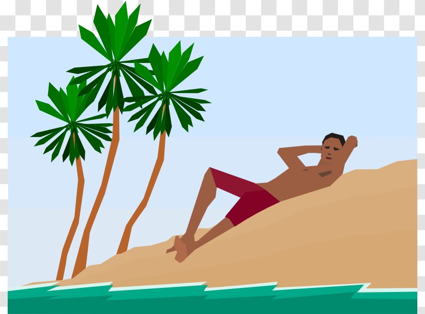 Arecaceae Tree Clip Art - Plant - Pictures Of People Relaxing Transparent PNG