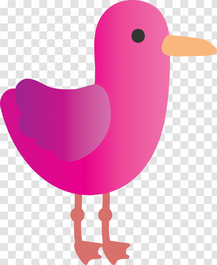 Pink Bird Water Bird Beak Transparent PNG