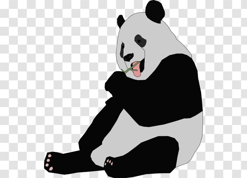 Giant Panda Bear Red Cuteness Clip Art - PANDA OUTLINE Transparent PNG