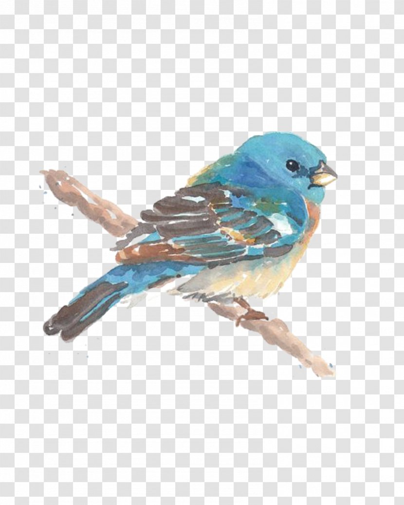 Watercolor Painting Bird Drawing Image Transparent PNG