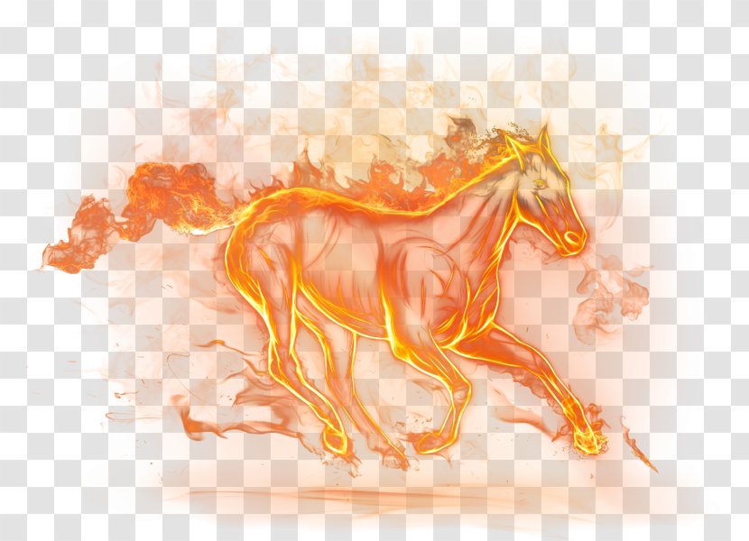 Horse Desktop Wallpaper Clip Art - Like Mammal Transparent PNG
