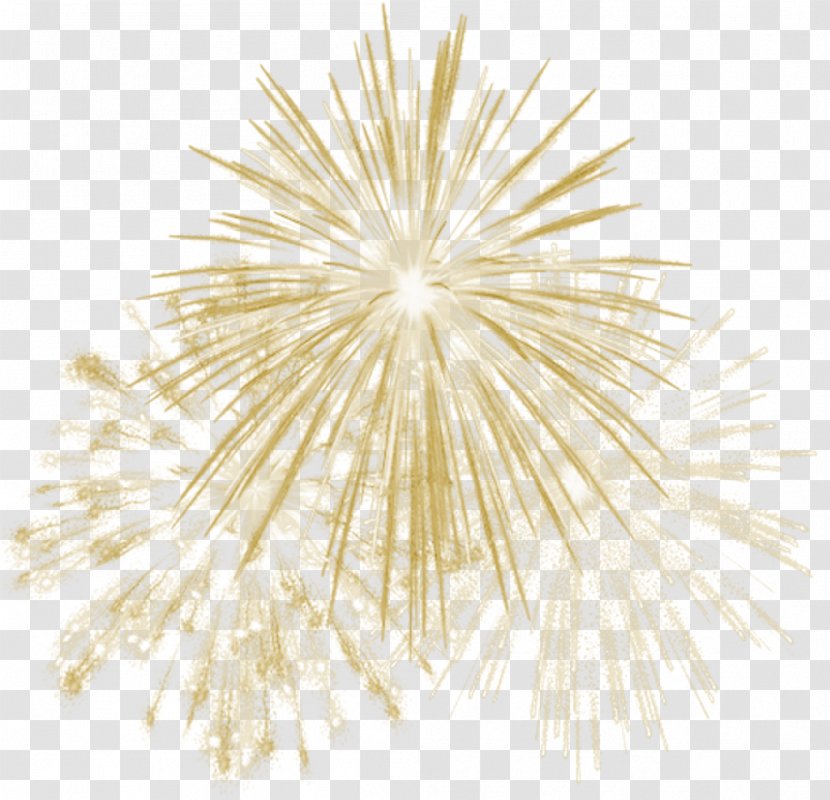 Fireworks Vector Graphics Image Transparency - New Year Transparent PNG