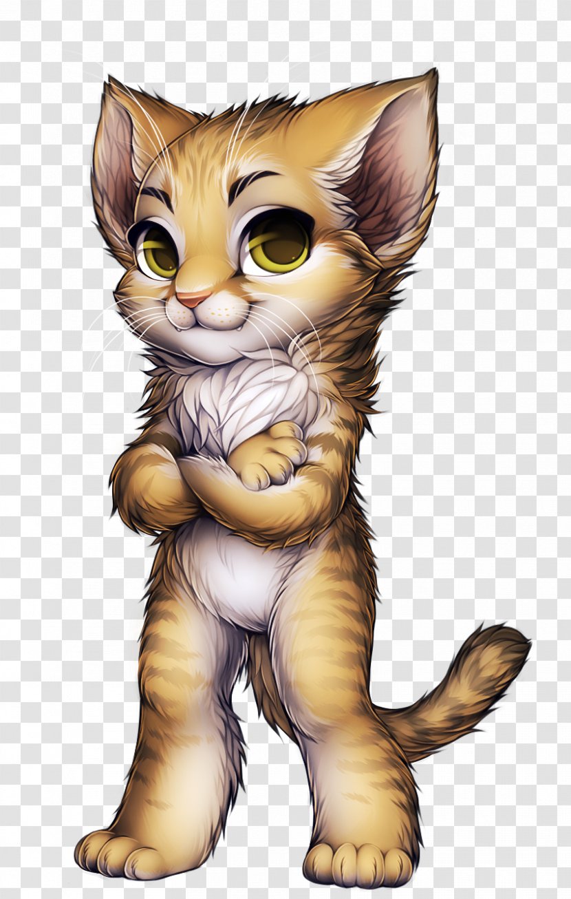 Scottish Fold Savannah Cat Maine Coon Siamese Norwegian Forest - Breed - Fennec Fox Transparent PNG
