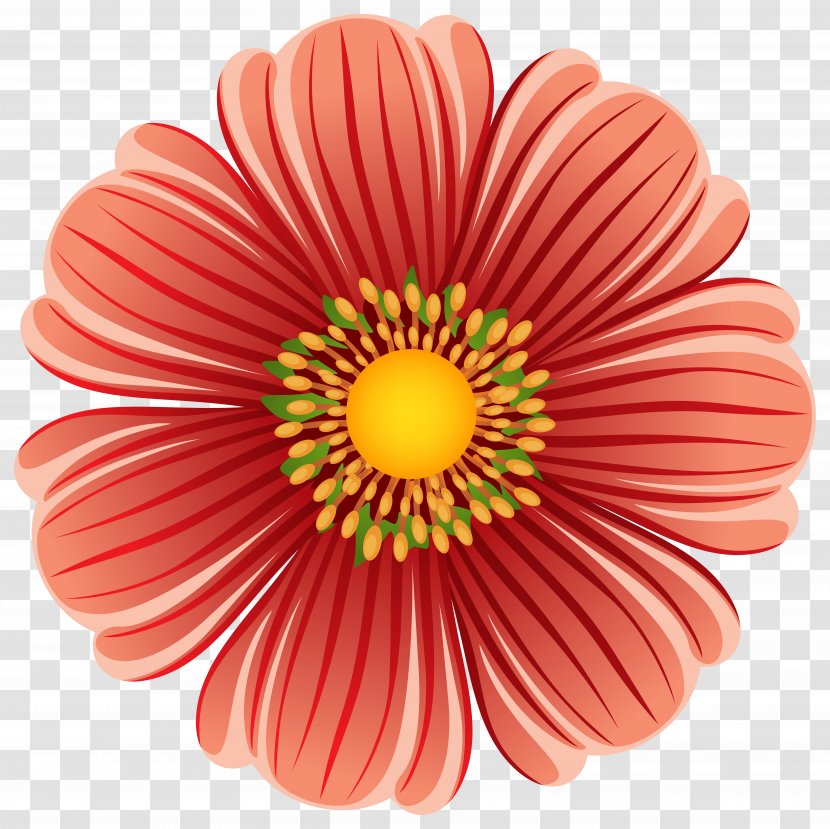Flower Clip Art - Gerbera - Poppy Transparent PNG