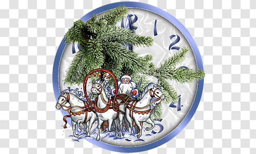 Novokuznetsk Christmas Ornament Şok - Pine Family - Az Transparent PNG