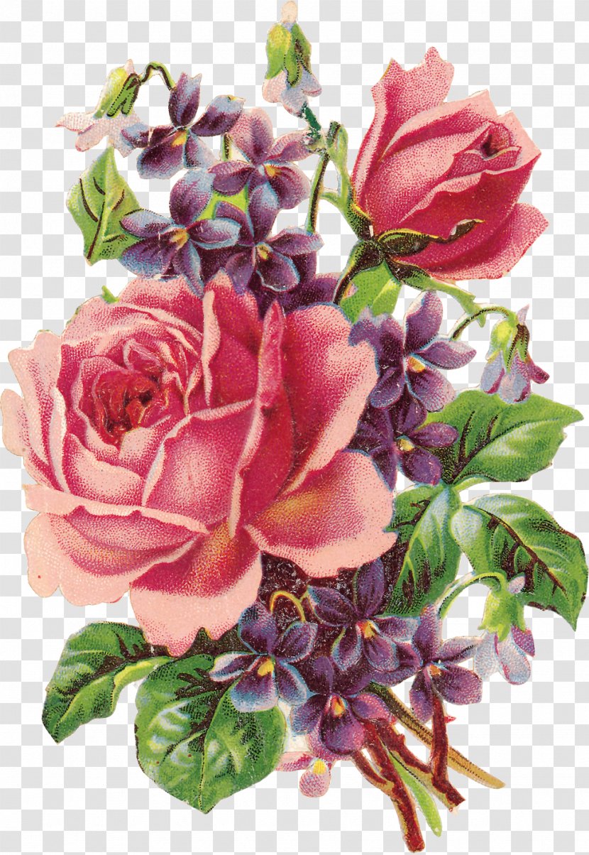 Vintage Roses: Beautiful Varieties For Home And Garden Violet Flower Clip Art - Roses - Rose Transparent PNG