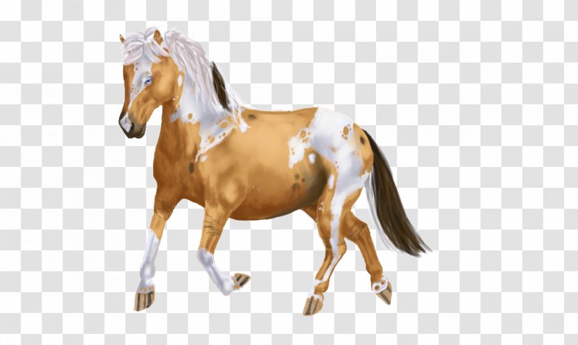 Stallion Halter Mustang Mare Horse Harnesses - Mane - Gray Icelandic Pony Transparent PNG