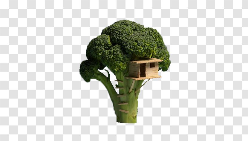 Broccoli Tree House Food Veggie Burger - Bread - Small Nest Transparent PNG