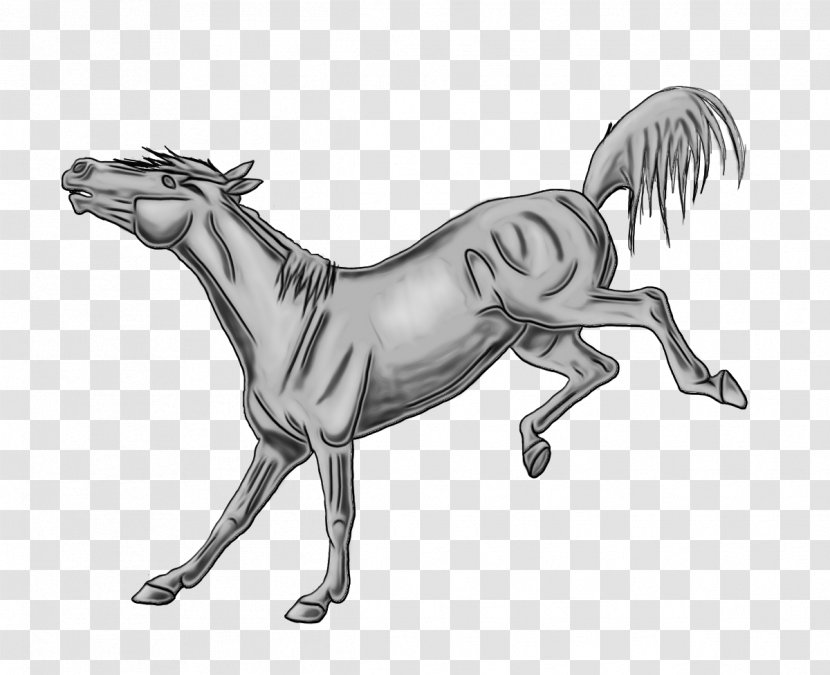 Horse Cartoon - Mare - Sorrel Animation Transparent PNG