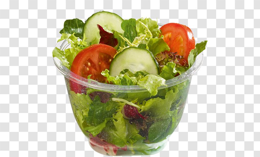 Romaine Lettuce McDonald's Big Mac French Fries Salad Hamburger - Dish Transparent PNG