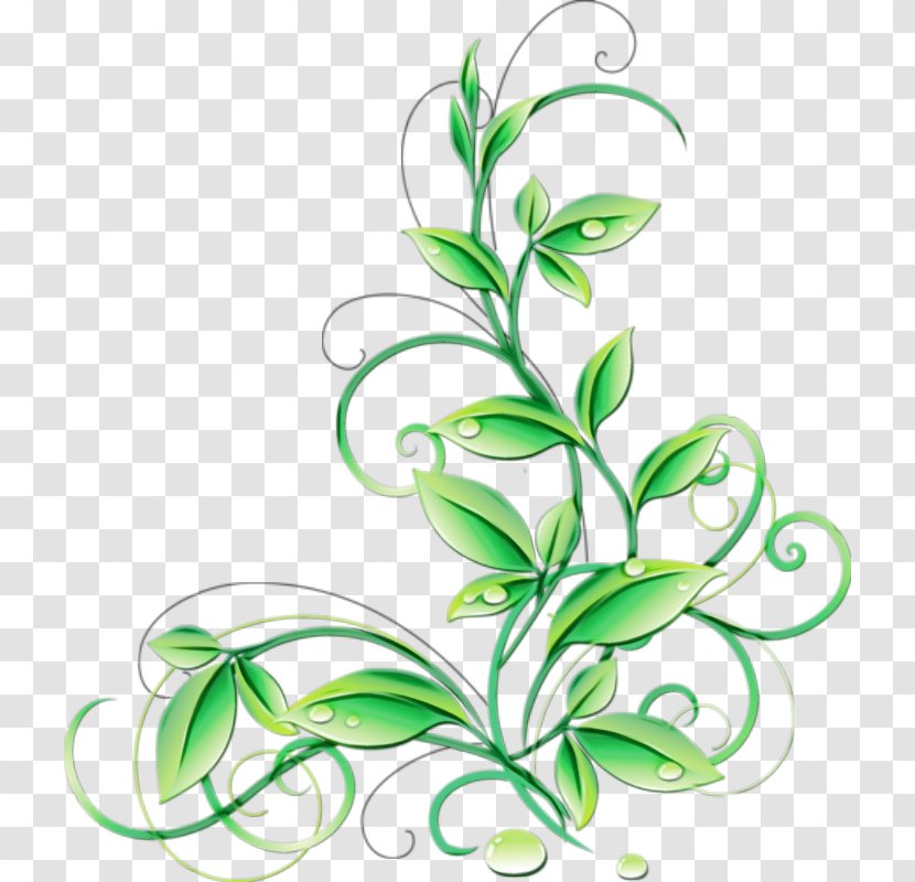 Green Grass Background - Plant - Stem Transparent PNG