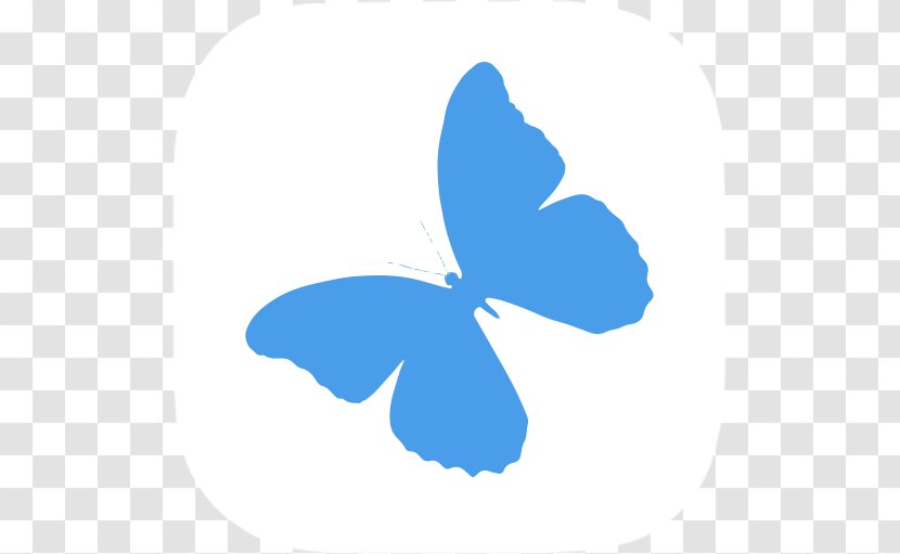 Butterfly Effect Asterope Papilio Ulysses - Invertebrate - Blue Technology Transparent PNG