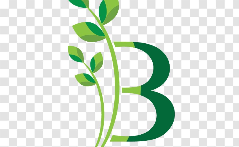 Leaf Clip Art Plant Stem Brand Flower - Grass Transparent PNG